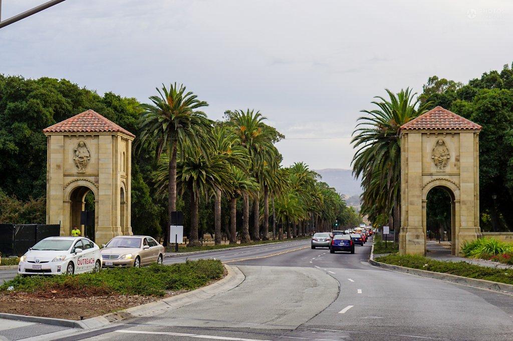 Stanford campus palm drive